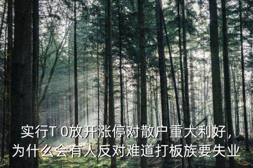 實(shí)行T 0放開漲停對(duì)散戶重大利好，為什么會(huì)有人反對(duì)難道打板族要失業(yè)