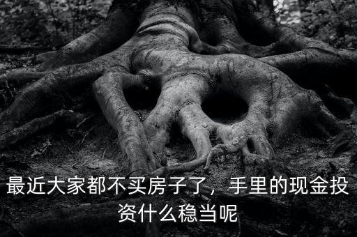 最近大家都不買房子了，手里的現(xiàn)金投資什么穩(wěn)當呢