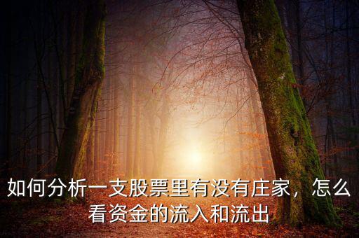 如何分析一支股票里有沒(méi)有莊家，怎么看資金的流入和流出