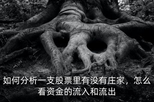 如何分析一支股票里有沒(méi)有莊家，怎么看資金的流入和流出