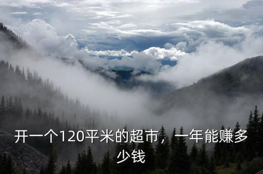 開一個120平米的超市，一年能賺多少錢