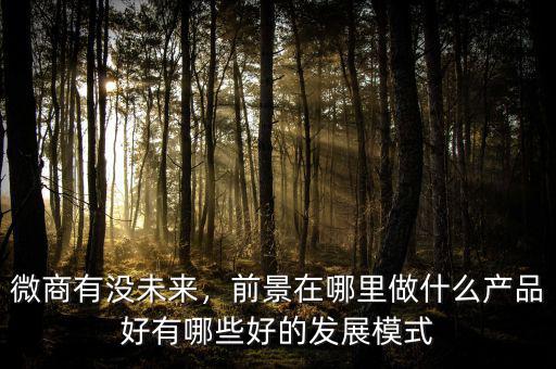 微商有沒未來，前景在哪里做什么產(chǎn)品好有哪些好的發(fā)展模式