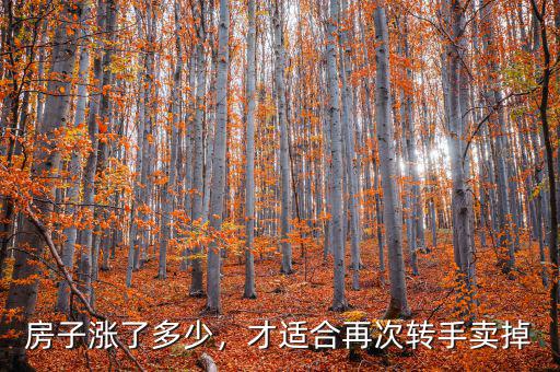 房子漲了多少，才適合再次轉(zhuǎn)手賣掉