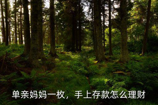單親媽媽一枚，手上存款怎么理財(cái)