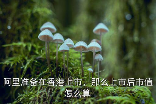 阿里準(zhǔn)備在香港上市，那么上市后市值怎么算