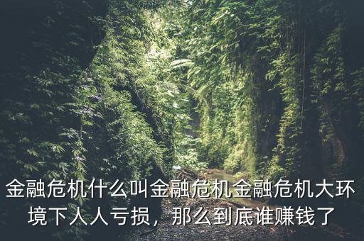 金融危機(jī)什么叫金融危機(jī)金融危機(jī)大環(huán)境下人人虧損，那么到底誰(shuí)賺錢了