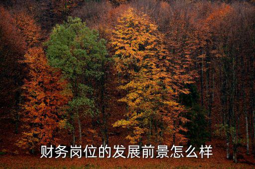 萬(wàn)豐財(cái)務(wù)怎么樣,財(cái)務(wù)管理專(zhuān)業(yè)前途怎么樣