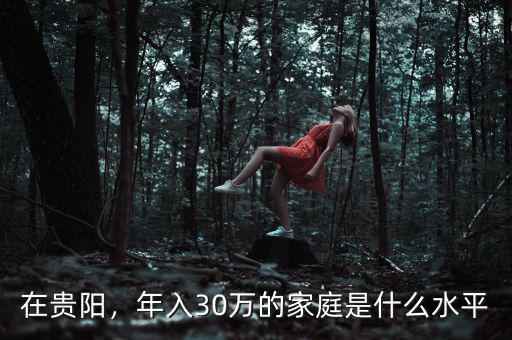 在貴陽，年入30萬的家庭是什么水平