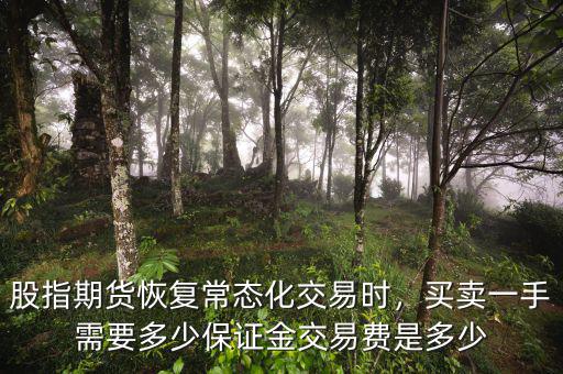 股指期貨恢復(fù)常態(tài)化交易時，買賣一手需要多少保證金交易費是多少