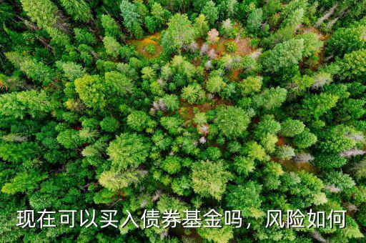 現(xiàn)在可以買入債券基金嗎，風(fēng)險(xiǎn)如何
