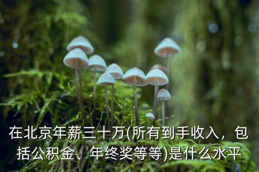 在北京年薪三十萬(所有到手收入，包括公積金、年終獎等等)是什么水平