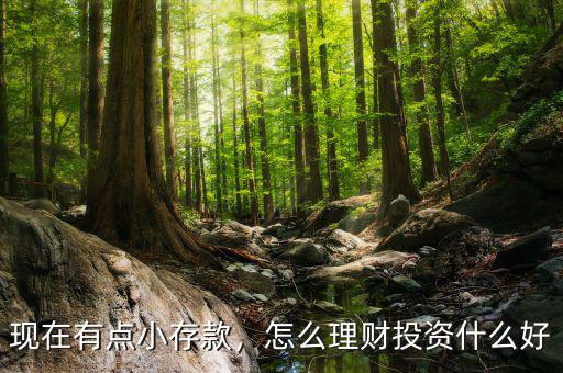 現(xiàn)在有點(diǎn)小存款，怎么理財(cái)投資什么好