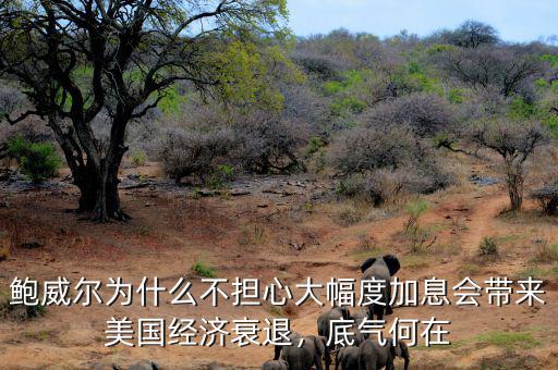 美為什么不加息,美聯儲鮑威爾一句今年不加息