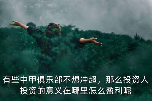 有些中甲俱樂部不想沖超，那么投資人投資的意義在哪里怎么盈利呢