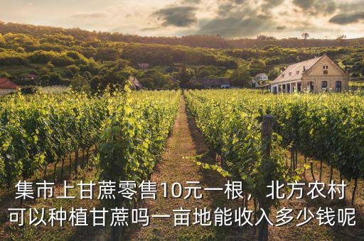 集市上甘蔗零售10元一根，北方農(nóng)村可以種植甘蔗嗎一畝地能收入多少錢呢
