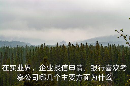 在實(shí)業(yè)界，企業(yè)授信申請(qǐng)，銀行喜歡考察公司哪幾個(gè)主要方面為什么