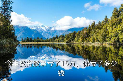 今年投資股票虧了15萬，你虧了多少錢