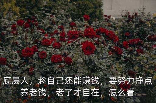底層人，趁自己還能賺錢(qián)，要努力掙點(diǎn)養(yǎng)老錢(qián)，老了才自在，怎么看