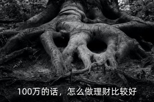 100萬的話，怎么做理財比較好