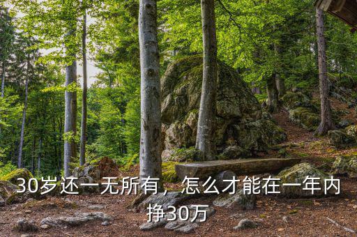 30歲還一無所有，怎么才能在一年內(nèi)掙30萬