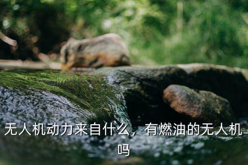 無人機動力來自什么，有燃油的無人機嗎