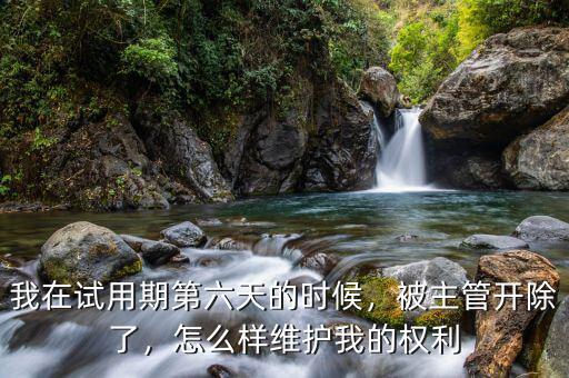 我在試用期第六天的時候，被主管開除了，怎么樣維護我的權利
