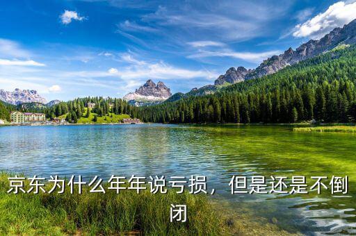 京東為什么年年說虧損，但是還是不倒閉