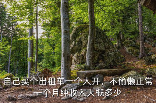自己買個出租車一個人開，不偷懶正常一個月純收入大概多少