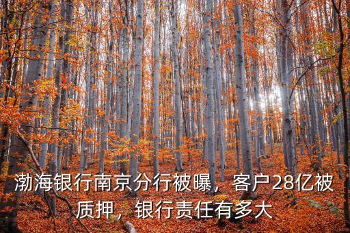 渤海銀行南京分行被曝，客戶28億被質(zhì)押，銀行責(zé)任有多大