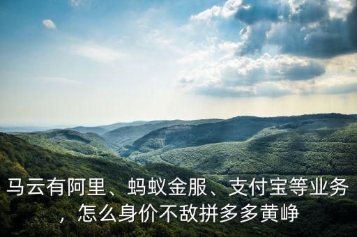 馬云有阿里、螞蟻金服、支付寶等業(yè)務，怎么身價不敵拼多多黃崢
