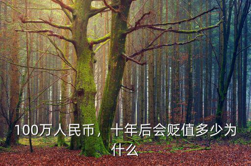 100萬人民幣，十年后會貶值多少為什么