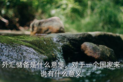 外匯儲(chǔ)備是什么意思，對(duì)于一個(gè)國家來說有什么意義