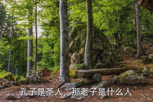 孔子是圣人，那老子是什么人