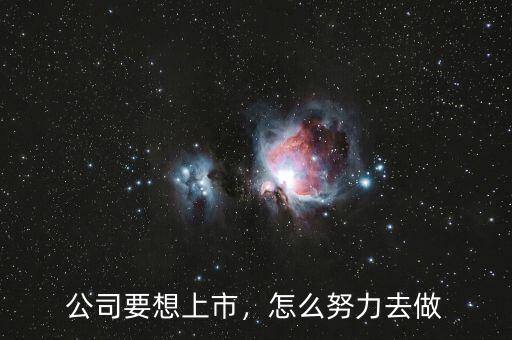 公司要想上市，怎么努力去做