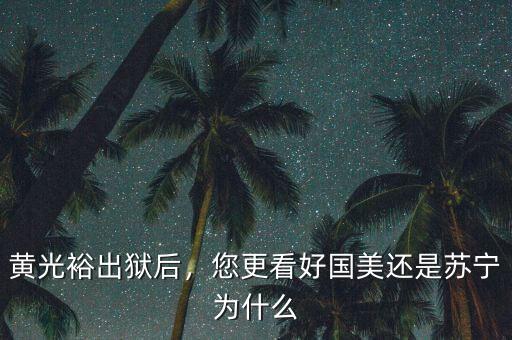 蘇寧為什么沒國(guó)美市值高,您更看好國(guó)美還是蘇寧