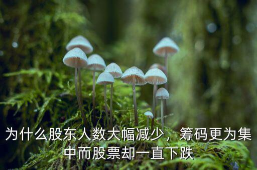 為什么股東人數(shù)大幅減少，籌碼更為集中而股票卻一直下跌