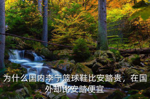 為什么國(guó)內(nèi)李寧籃球鞋比安踏貴，在國(guó)外卻比安踏便宜