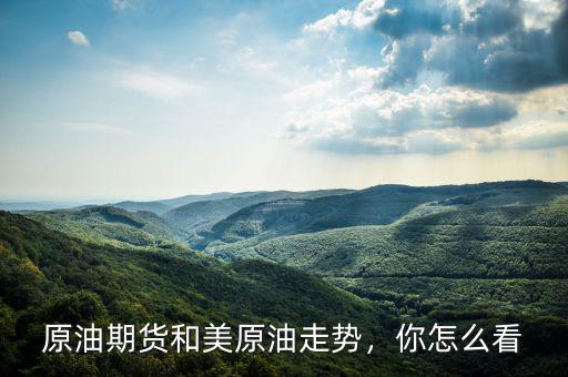原油期貨和美原油走勢(shì)，你怎么看