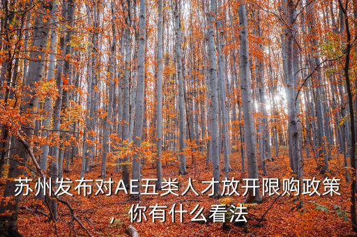蘇州發(fā)布對AE五類人才放開限購政策，你有什么看法