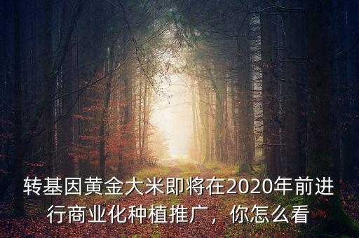 轉(zhuǎn)基因黃金大米即將在2020年前進行商業(yè)化種植推廣，你怎么看