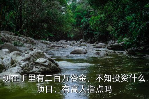 現(xiàn)在手里有二百萬資金，不知投資什么項目，有高人指點嗎
