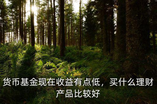 貨幣基金現(xiàn)在收益有點(diǎn)低，買什么理財產(chǎn)品比較好