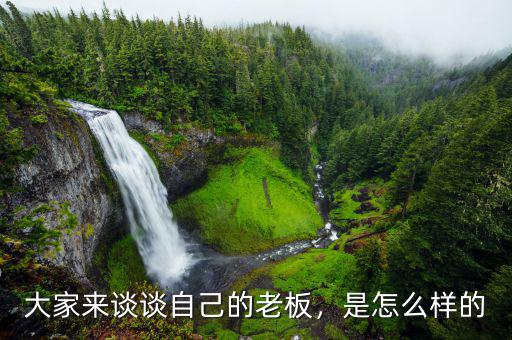 大家來(lái)談?wù)勛约旱睦习澹窃趺礃拥? class=
