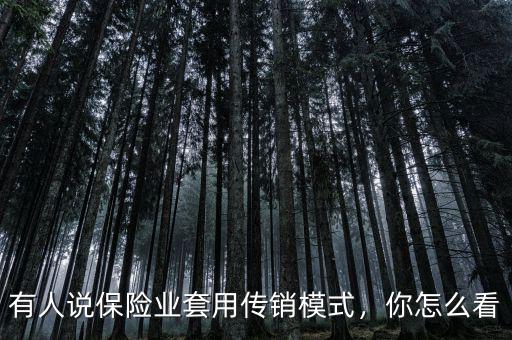 有人說保險(xiǎn)業(yè)套用傳銷模式，你怎么看