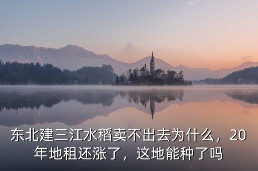 東北建三江水稻賣不出去為什么，20年地租還漲了，這地能種了嗎