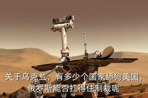 關(guān)于烏克蘭，有多少個(gè)國家舔狗美國，俄羅斯能否扛得住制裁呢