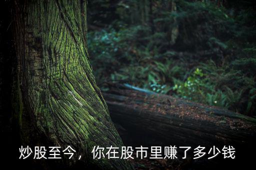 炒股至今，你在股市里賺了多少錢(qián)