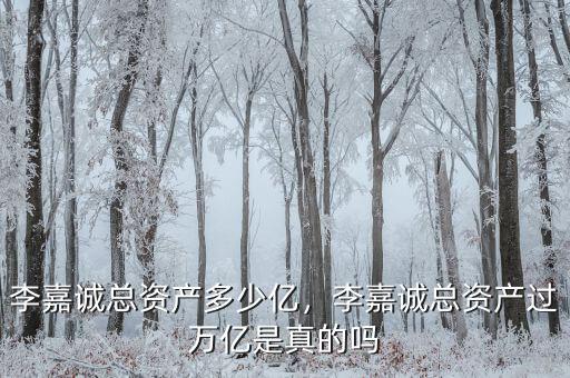 李嘉誠總資產(chǎn)多少億，李嘉誠總資產(chǎn)過萬億是真的嗎