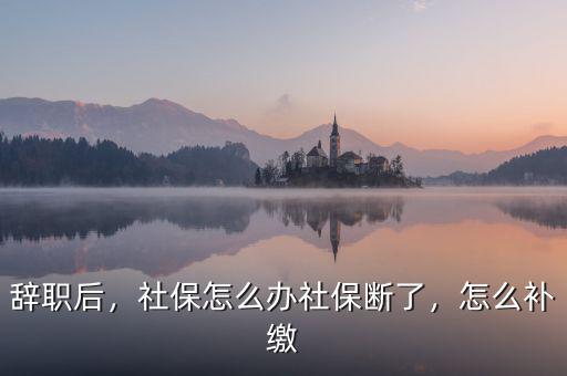 辭職后，社保怎么辦社保斷了，怎么補(bǔ)繳