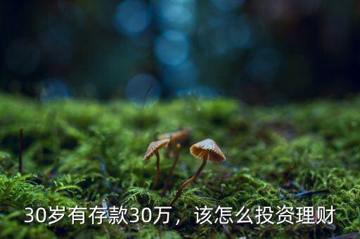 30歲有存款30萬，該怎么投資理財(cái)